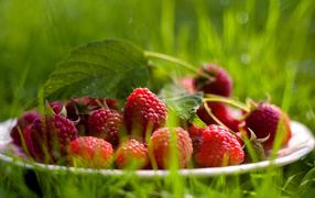 Тарелка Малины