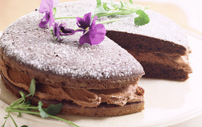 A cake with chocolate cream