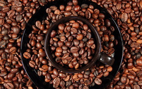 Кофейные зерна