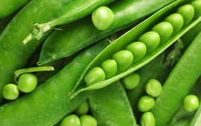 Зеленый горошек