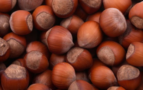 Лесные орехи
