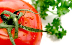 Сочный помидор