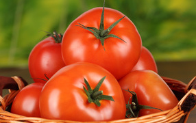 Помидоры
