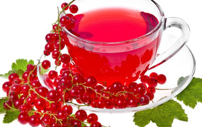 Drink of the currant