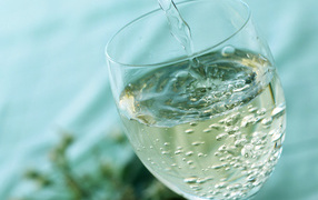 Игристое вино