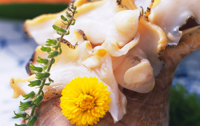 вкусный кальмар