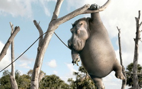 Бегемот с бананом