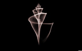 Мобильный рентген ракушка