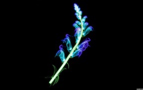 Сканер поля