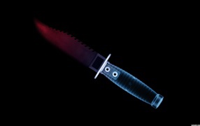 Сканер оружия