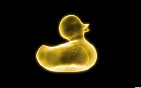 X-ray of a duck