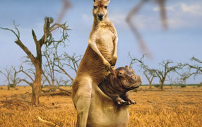 Приемный сын