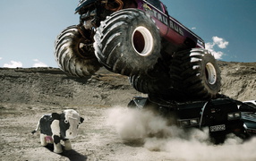 Маленькая коровка