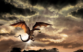 Аист и Мэрлин