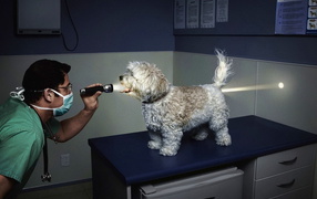 Свет в конце туннеля