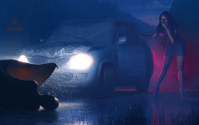 Необычная встреча