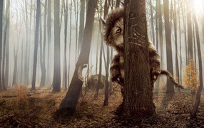 КотоПёс кэжуал