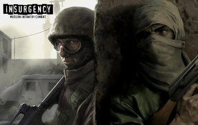 Insurgency