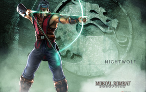 Ночной волк