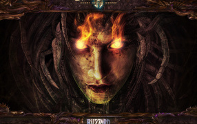 Starcraft 2: heart of the swarm