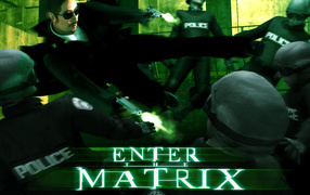 enter the Matrix Игра