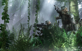 Миссия в джунглях