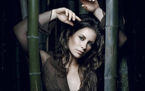 Евангелина Лили / Evangeline Lilly