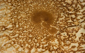 Выпечка блинов