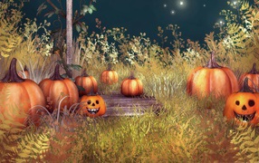Pumpkins in the forest