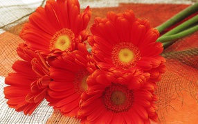 Букет цветов на Международный женский день