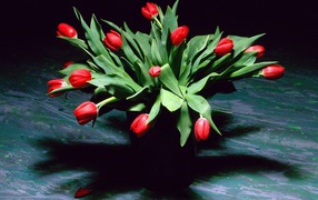 A bouquet to women, on March 8