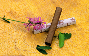 Необычный подарок на 8 марта