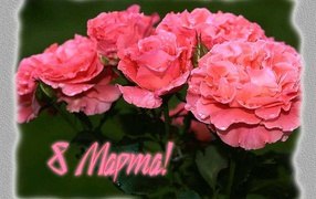 Красивая открытка на 8 Марта