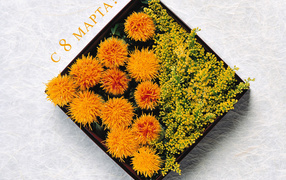 С праздником дорогие женщины!