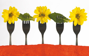 Креативный букет