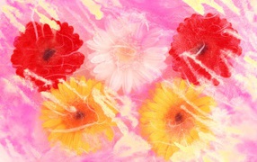 Нарисованные цветы на 8 марта