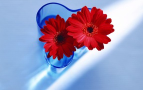 Цветы любимым девушкам на 8 марта