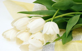 Цветы для самой желанной