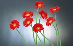 Прикольные цветы на 8 марта