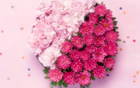 Поздравляю с 8 марта!