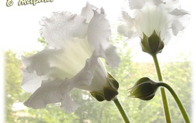 Картинка на 8 Марта