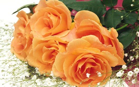 Подарок женщинам красавицам