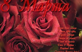 Красная роза Март 8