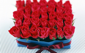 Roses as a gift on March 8