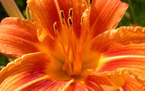 Женский день