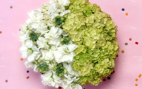 Всемирный Женский День