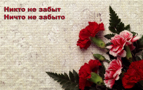 Ветеранам на 9 Мая