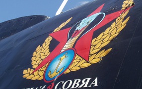 Russian cobra