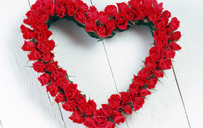 Красивые красные розы День Святого Валентина