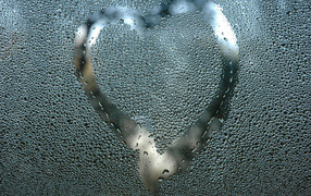 Drawing on the glass in the Valentine Day